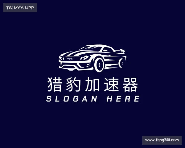 认识猎豹加速器